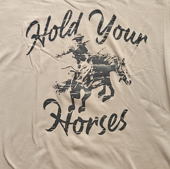 🌈 NWOT Hold Your Horses Cowboy 🤠 Print Oversized Tee - Picture 2 of 4